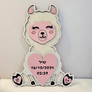 תעודת לידה למה