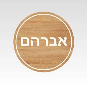 שלט כניסה דגם עדי